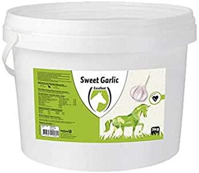 Sweet Garlic Blocks