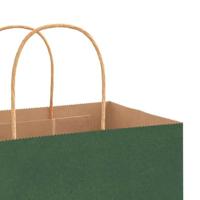 VidaXL Papieren zakken 250 st met hengsels 21x11x31 cm groen - thumbnail