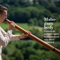 Meinl DDPROFNTD Sliced Pro didgeridoo toon D incl. draagtas - thumbnail