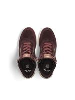 Ara 1224808 - alle - thumbnail