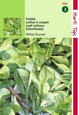 Zaden Snijsla Witte Dunsel Hortitops - Hortitops