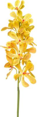 Vanda spray rt yellow 80 cm kunstbloem zijde nepbloem Emerald - Emerald