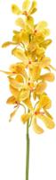 Vanda spray rt yellow 80 cm kunstbloem zijde nepbloem Emerald - Emerald - thumbnail