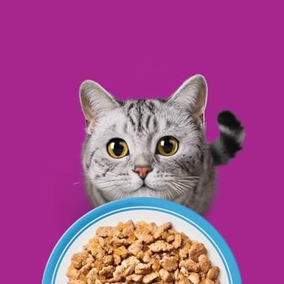WHISKAS Visdelicatessen in gelei - natvoer voor katten - 80x85g