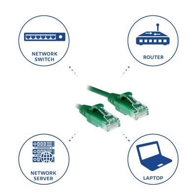 ACT DC9752 LSZH U/UTP CAT6 Datacenter Slimline Patchkabel Snagless | RJ45 Connectoren| Groen | 25 cm