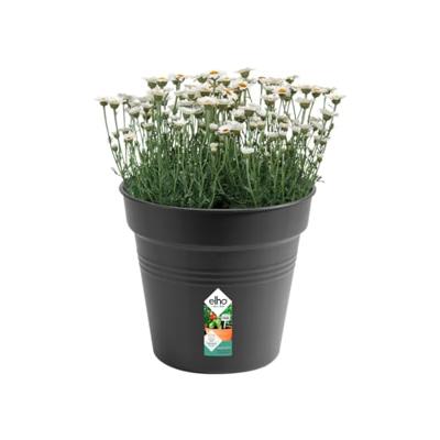 Elho Green Basics Kweekpot Zwart Ø30cm
