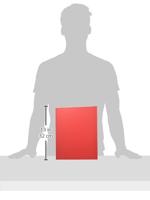 Esselte ringmap Vivida rood, 2 ringen - thumbnail