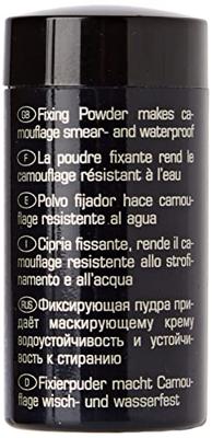 Artdeco Camouflage Fixing Powder Str 10 g Gezichtspoeder
