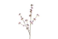 Decostar zijdebloem Malus 111 cm paars - thumbnail