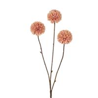 Roberts Collection Kunstbloem pompom 78 cm champagne - thumbnail