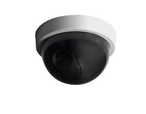 Chacon Dummy camera indoor dome met LED lampje wit - 7903100