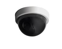Chacon Dummy camera indoor dome met LED lampje wit - 7903100 - thumbnail