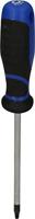 Brilliant Tools BT034906 Torx-schroevendraaier Grootte T 15 Koplengte: 100 mm 1 stuk(s) - thumbnail