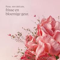 L&apos;Occitane Rose Body Lotion 250 ml - thumbnail