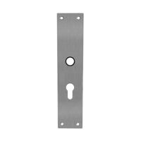 Intersteel renovatieschild rechthoekig 250x55x2mm profielcilindergat 55mm - RVS - thumbnail