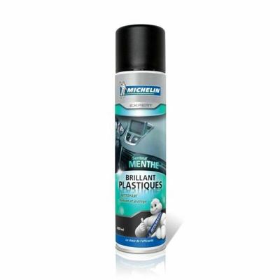 MICHELIN Expert Shiny Plastics - Mint - 400 ml MICHELIN Expert Shiny Plastics - Mint - 400 ml