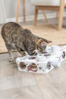 Trixie cat activity paws'n'treats box karton - thumbnail