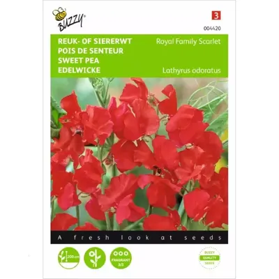 Lathyrus, Reuk- of siererwt Royal Family Scarlet