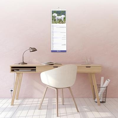 Bichon Frise Kalender 2026 Slimline Bichon Frise Kalender 2026 Slimline