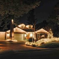 Showtec LED Rubber Net Light WW LED-net 3x2m 228 LEDs warmwit - thumbnail