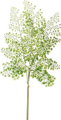 Adianthum spray bundle x3 58 cm green Emerald - Emerald