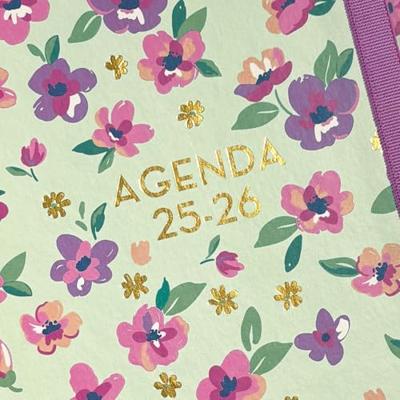Agenda Finocam