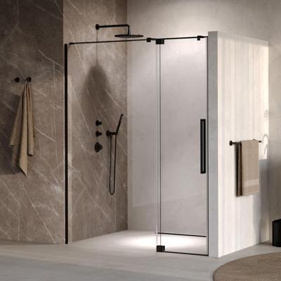Brauer Stellar - Nisdeur - 2-Delig - Draaiend - Helder Glas - 160 x 200 cm - Omkeerbaar - incl. Glascoating - Mat Zwart