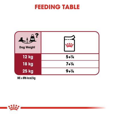 Royal Canin Medium Ageing natvoer hond (in saus) 2 dozen (20 x 140 g) Royal Canin Medium Ageing natvoer hond (in saus) 2 dozen (20 x 140 g)