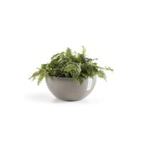 Ecopots Brussels kunststof bloempot Taupe - Ø 28 cm - thumbnail