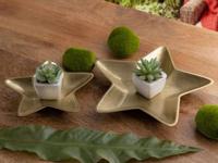 SVJ Schaal - 25x25x3 cm - Aluminium - Goud - Set van 2 - thumbnail