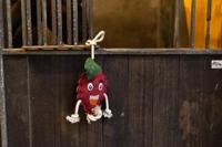 Excellent Horse Foodie Friends Raspberry - thumbnail