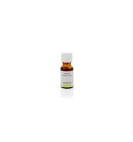 Ginkel&apos;s Olie Parfum Jasmijn 15ml - thumbnail
