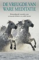 De vreugde van ware meditatie (Paperback) - thumbnail
