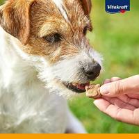 VITAKRAFT Noshies Turkey - hondensnack - 90 g - thumbnail