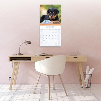 Rottweiler Puppies Kalender 2026