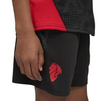 PUMA AC Milan Trainingsbroekje 2025-2026 Kids Zwart Rood - thumbnail