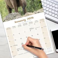 Olifanten Kalender 2026 - thumbnail