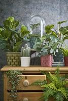 Kunstplant mica varen groen in pot stan grijs - thumbnail