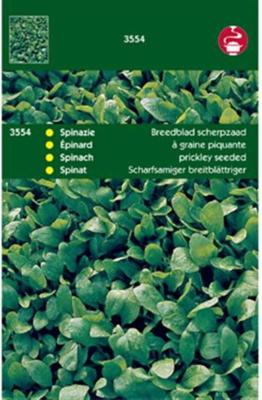 Zaden Spinazie Breedblad Scherpzaad zomer 100g Tuinplus - Tuinplus