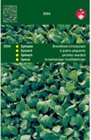 Zaden Spinazie Breedblad Scherpzaad zomer 100g Tuinplus - Tuinplus - thumbnail