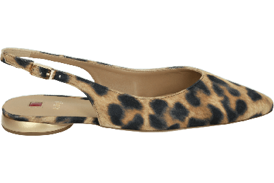 Hogl 100107 MONA - alle