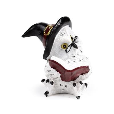 Wise Old Magical Owl lees spreukenboeken