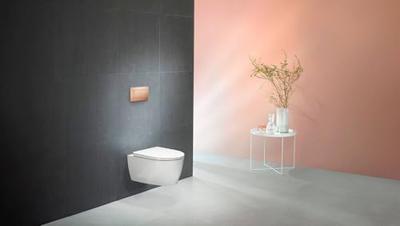 Geberit Renova Wandclosetset - 54x35.5cm - diepspoel - rimless - TurboFlush - softclose en quickrelease zitting - glans wit 503.062.00.1