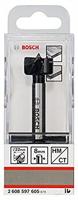 Bosch Accessories 2608597605 Forstnerboor 22 mm Gezamenlijke lengte 90 mm Cilinderschacht 1 stuk(s) - thumbnail