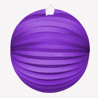 Bollampion Paars 23 cm