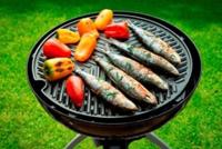 Cadac Grillogas BBQ rooster - thumbnail