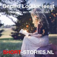 Gerard Lodder leest Andersen - thumbnail