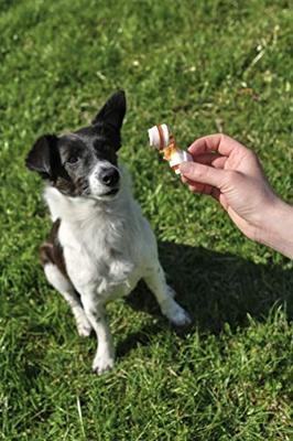 8-in-1 Triple Flavour kauwbotten voor honden met lekker kippenfilet, verschillende maten, 2 x XS - (1x21stuks)