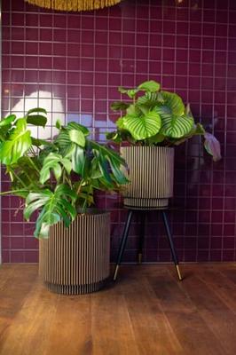 Capi nature groove nl cilinder bloempot 44x46 cm zwart, goud - thumbnail