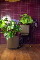 Capi Vaas cylinder groove 41x43cm - Zwart - thumbnail